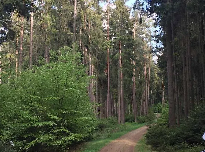 Schoetz Moosbach (Oberpfalz)